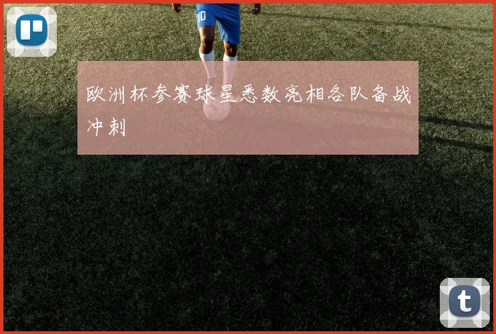 欧洲杯参赛球星悉数亮相各队备战冲刺