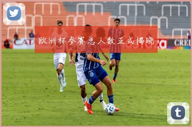 欧洲杯参赛总人数正式揭晓