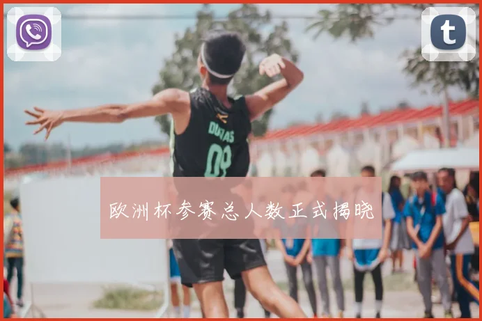 欧洲杯参赛总人数正式揭晓