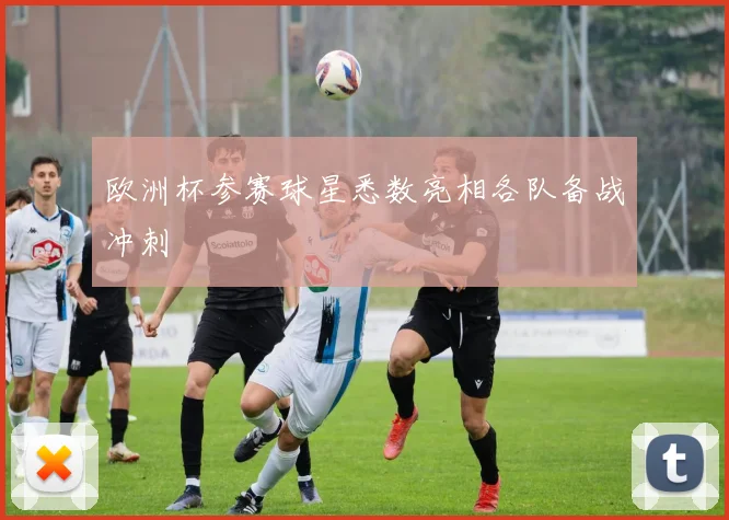 欧洲杯参赛球星悉数亮相各队备战冲刺