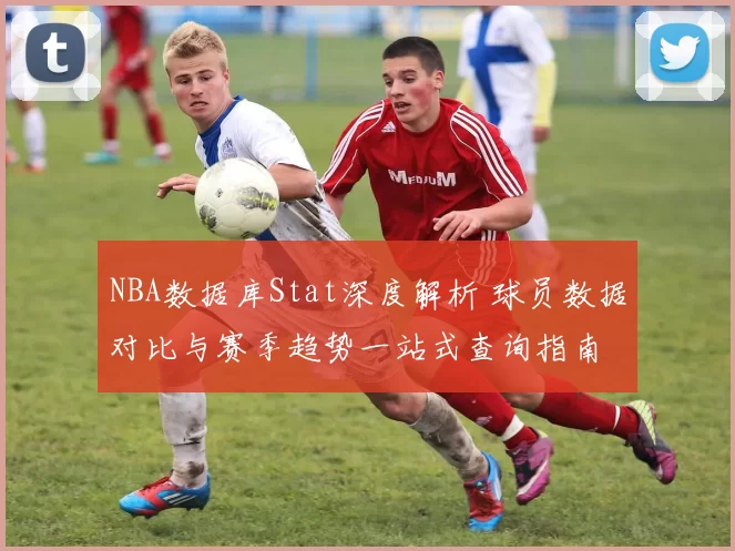 NBA数据库Stat深度解析 球员数据对比与赛季趋势一站式查询指南