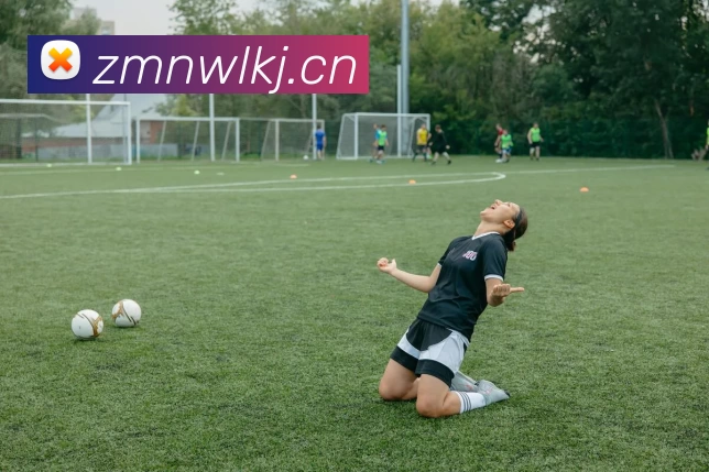 九游电子娱乐入口品牌故事